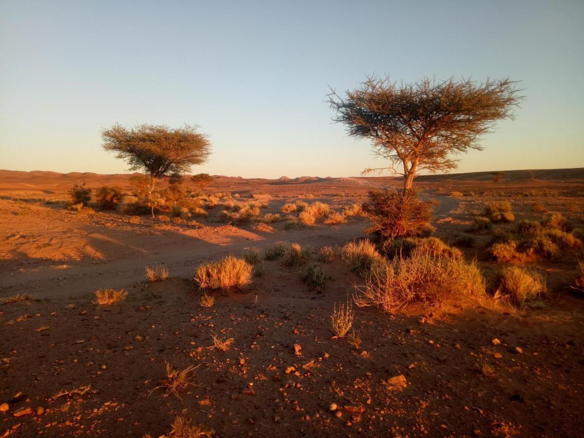 Sahara Peace Camp Hotel ซากอร่า ภายนอก รูปภาพ