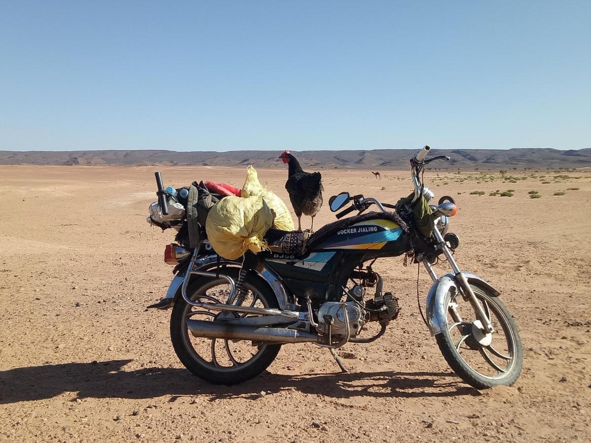 Sahara Peace Camp Hotel ซากอร่า ภายนอก รูปภาพ