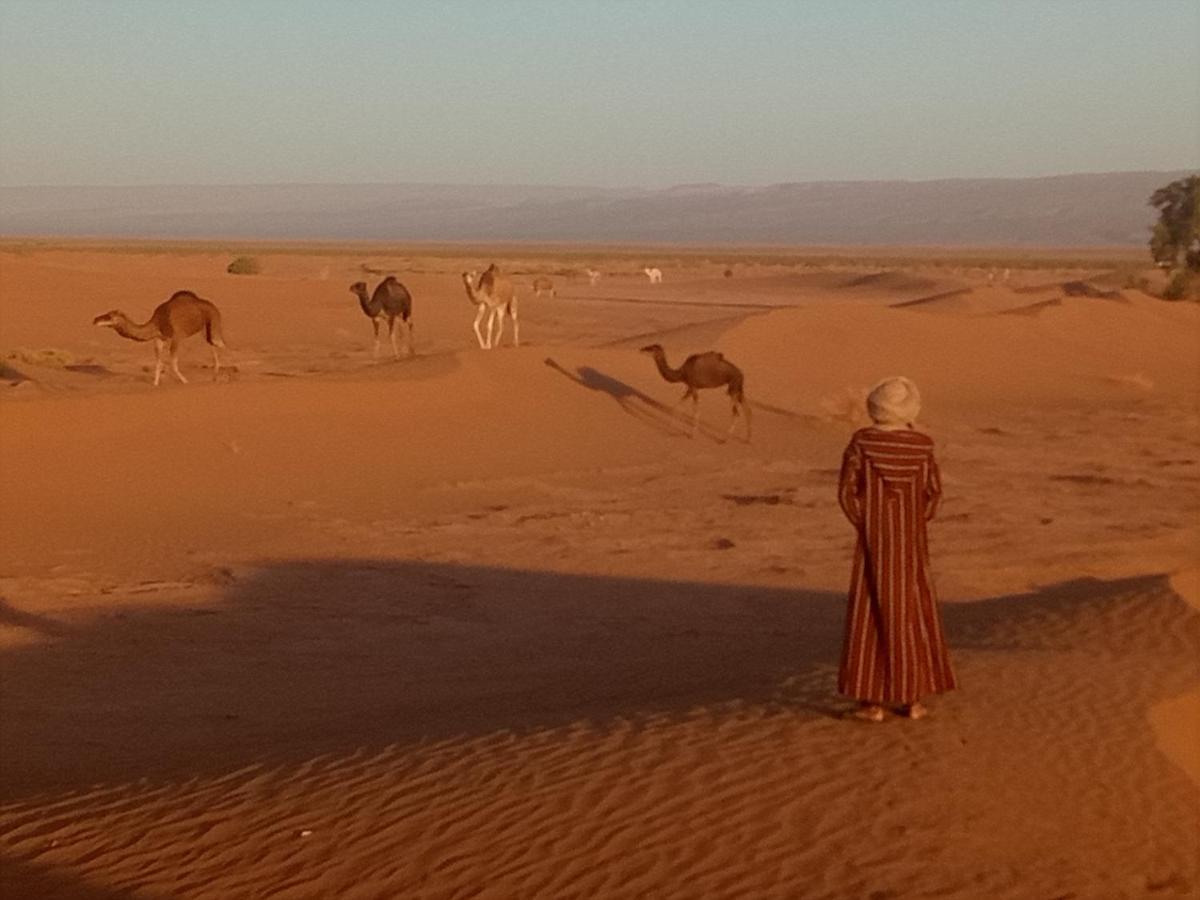 Sahara Peace Camp Hotel ซากอร่า ภายนอก รูปภาพ