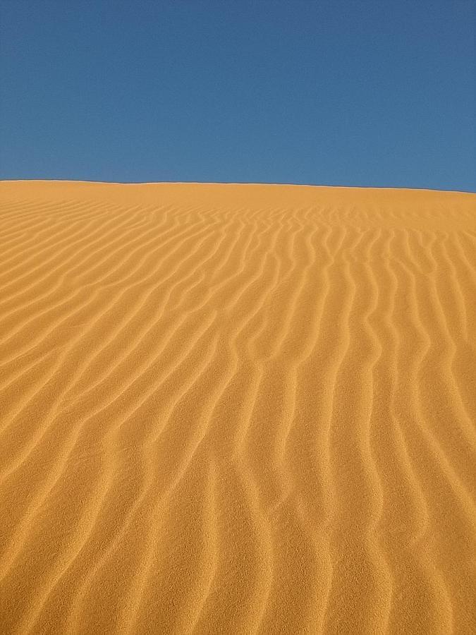 Sahara Peace Camp Hotel ซากอร่า ภายนอก รูปภาพ