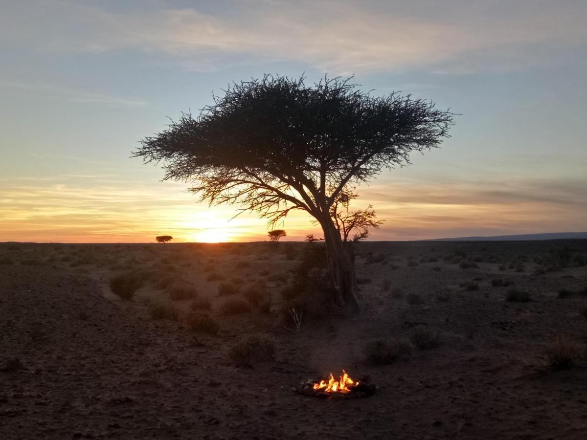 Sahara Peace Camp Hotel ซากอร่า ภายนอก รูปภาพ