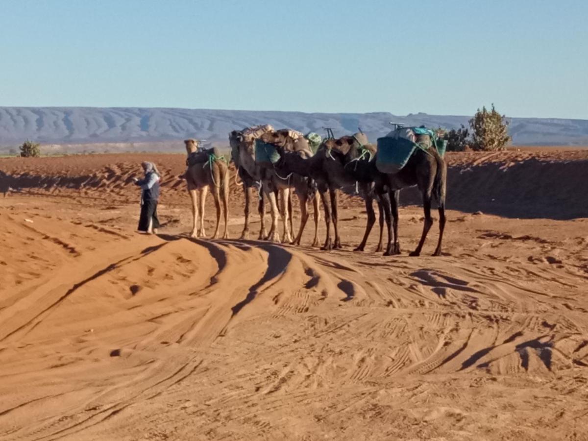 Sahara Peace Camp Hotel ซากอร่า ภายนอก รูปภาพ