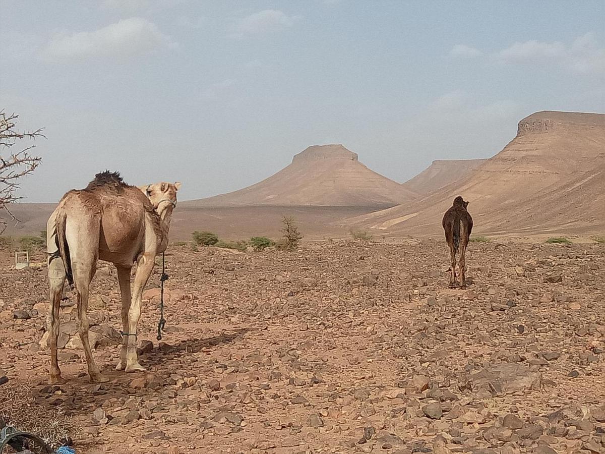 Sahara Peace Camp Hotel ซากอร่า ภายนอก รูปภาพ
