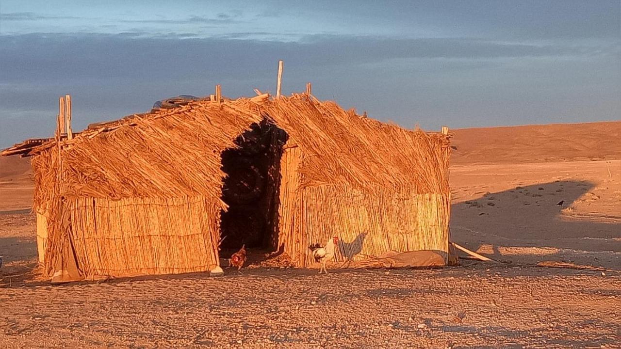 Sahara Peace Camp Hotel ซากอร่า ภายนอก รูปภาพ