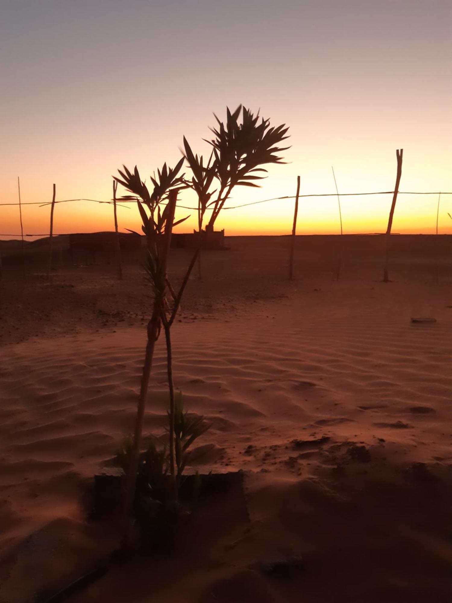 Sahara Peace Camp Hotel ซากอร่า ภายนอก รูปภาพ