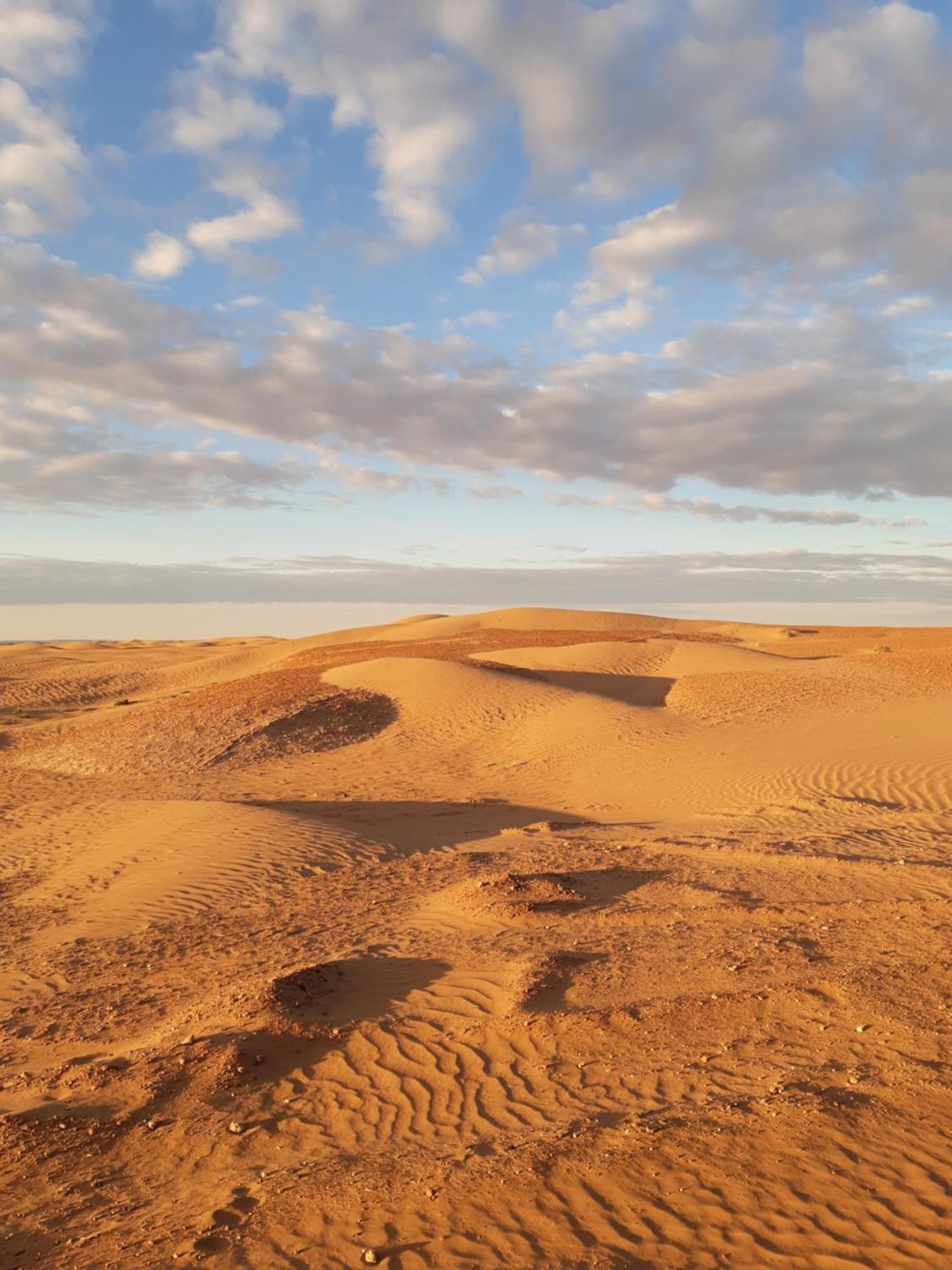 Sahara Peace Camp Hotel ซากอร่า ภายนอก รูปภาพ